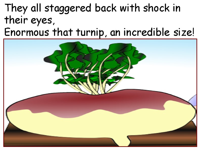 They all staggered back with shock in  their eyes, Enormous that turnip, an